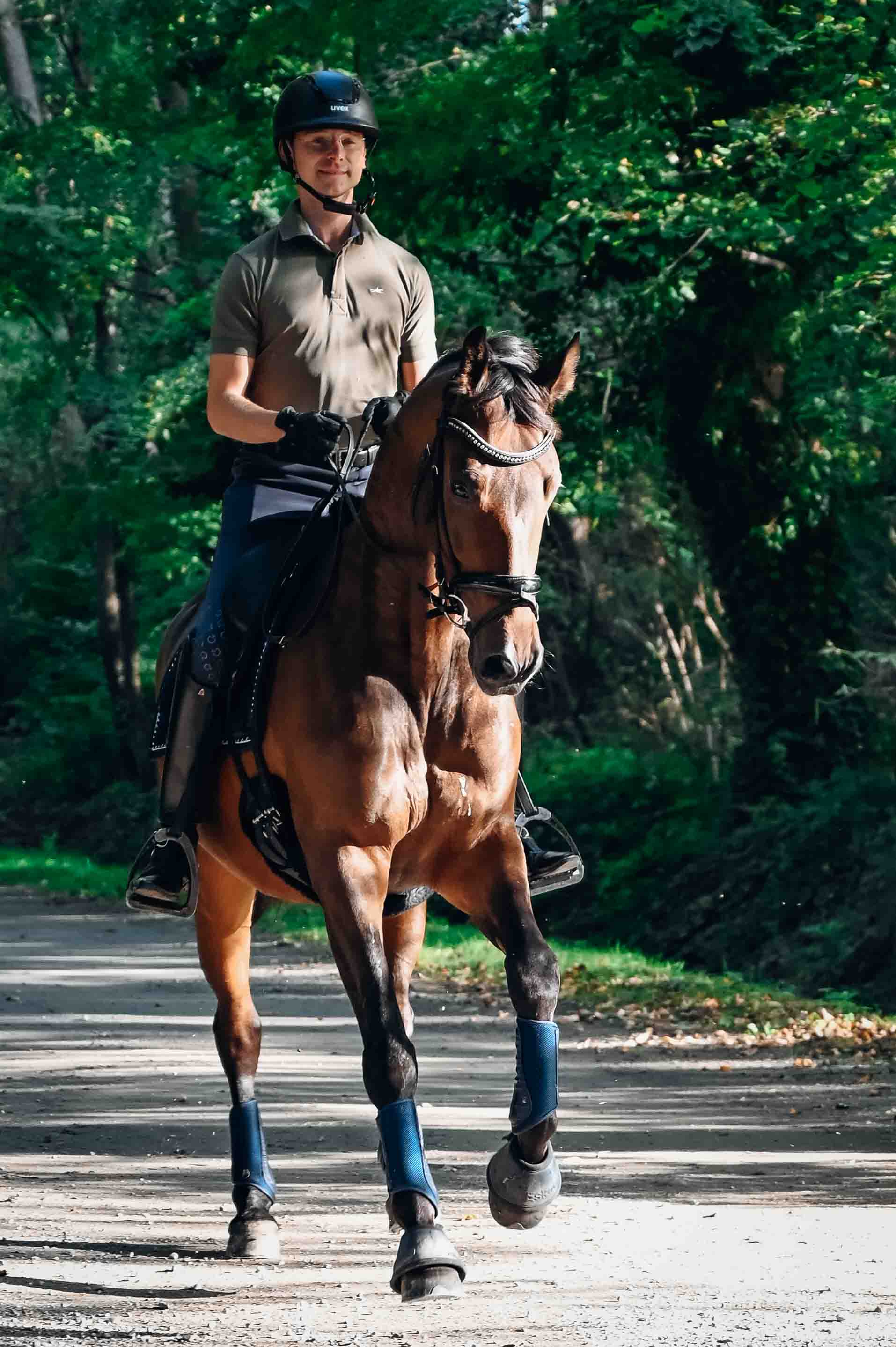 Sportfotografie, Sport, reiten, Pferd, Shooting, Fotografie